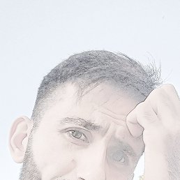 ����, ������, 37 ���