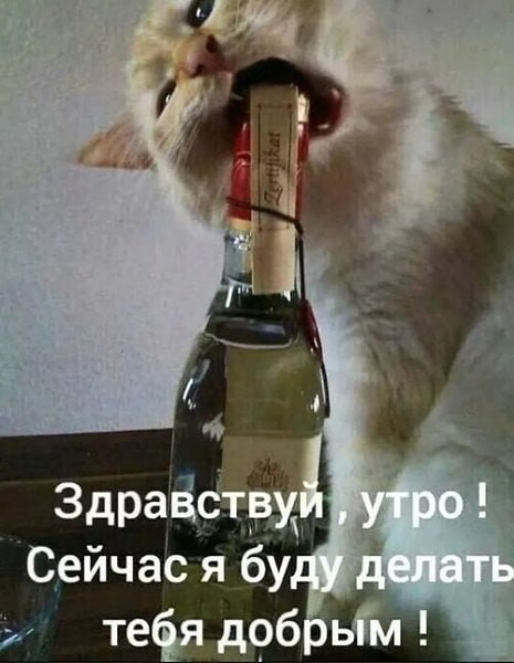  - 28  2024  14:33