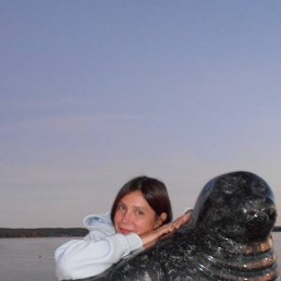 ���� ����, �����-��������� - ��������� 20 ������ 2025