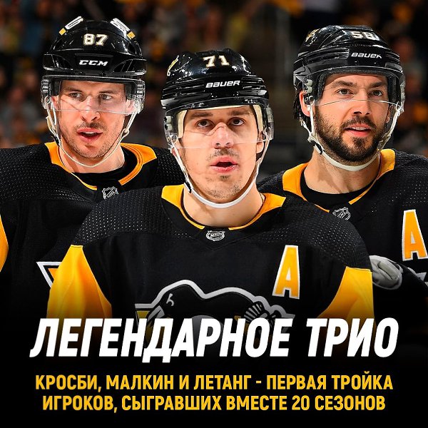 ������, ������ � ������ - ������ ���� � ������� ������������� ������, ��������� ������ 20 �������.� ...