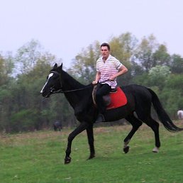 ���������, ������, 59 ���