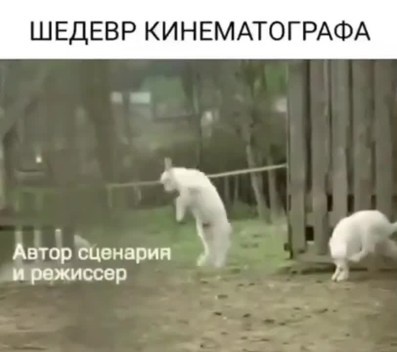 ��� ��������� ������ ������..