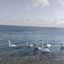 ���� ��ta, �����-��������� - ��������� 29 ������ 2026 � ������ ���� ����������