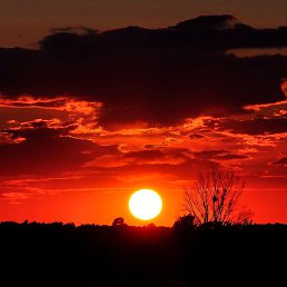 ������, ���������, 50 ���