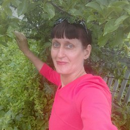 , 44, 