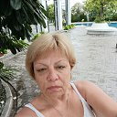 ���� �����, �������, 56 ��� - ��������� 8 ����� 2026 � ������ ���� ����������