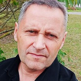 �������, ������, 46 ���