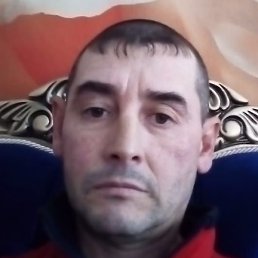 �����, ������, 40 ���