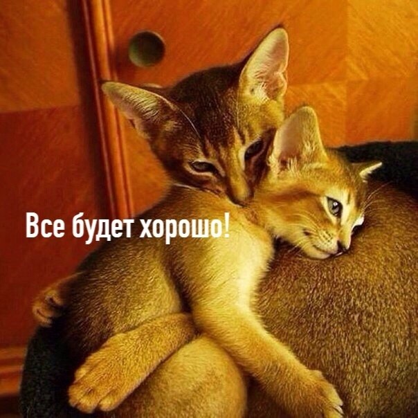 ��� ���� � ����� �� �� - 15 ������� 2025 � 20:33