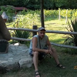 ���� �������, �����������-��-�����, 50 ��� - ��������� 22 ������ 2026