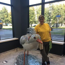 ���� �����, �����, 52 ���� - ��������� 9 ����� 2026