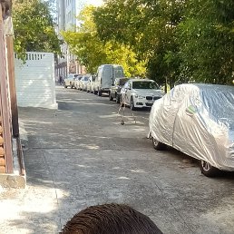 ������, 34 ����, �������