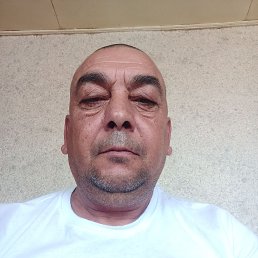 , 53 , 