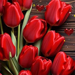 ���� Irma, ����, 71 ��� - ��������� 13 ����� 2024