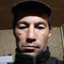 �������, ������, 41 ���