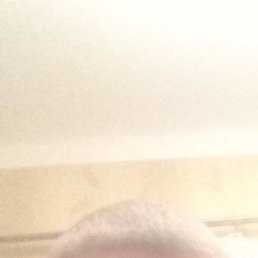 , 33, 