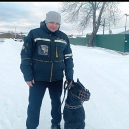 ����, 37 ���, ���������