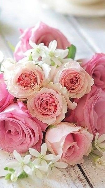 ����� �������� - 16 ���� 2025 � 20:32 - 2