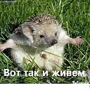 ���� �����, �����������, 47 ��� - ��������� 31 ����� 2026