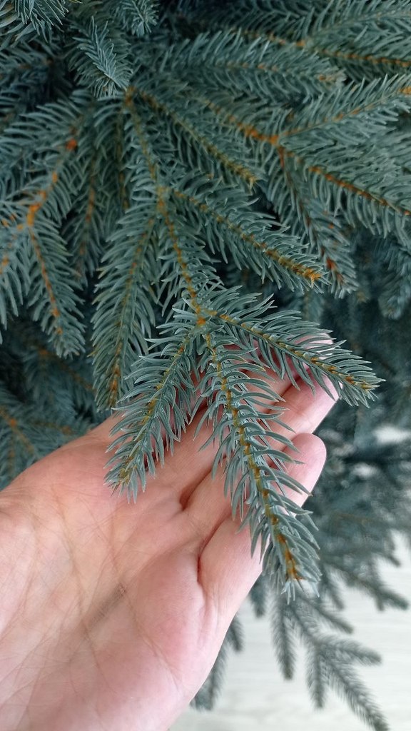 ����� ��� �� �������� ������� ���� ����� ������ ����! ������ �� ����������� ����� ��� ��������� ... - 4