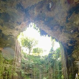 ����, ����, 73 ����