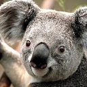 ���� �������, ���������, 22 ���� - ��������� 6 ������� 2024 � ������ ���� ����������