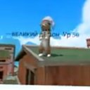 ���� �����, ����-������, 34 ���� - ��������� 22 ������ 2025