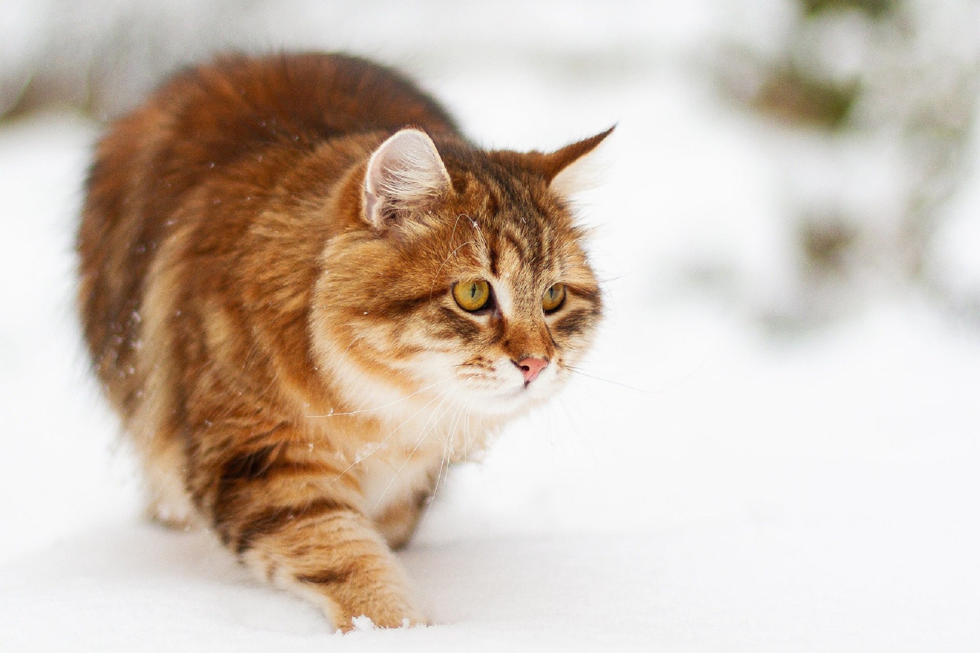 Set - 27  2024  16:53