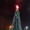 ���� ������, ������������, 49 ��� - ��������� 17 ������ 2024 � ������ ���� ����������