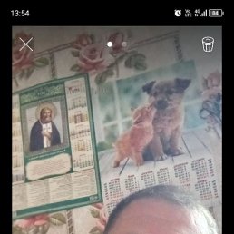 ����, 51 ���, ������