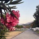 ���� �����, ����� - ��������� 25 ���� 2026 � ������ �������.�����.2026�