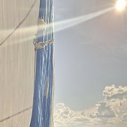 ���������, 43 ����, ������