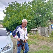 ������, 50 ���, �����