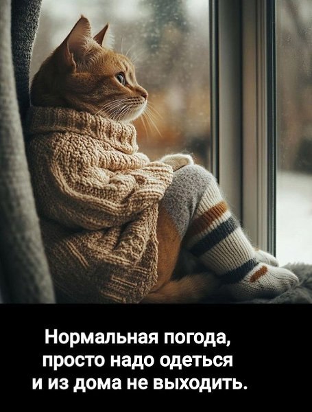 ��� ���� - 23 ������� 2025 � 11:40