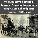 ���� ��������, ������� - ��������� 10 �������� 2025 � ������ ������ ��������