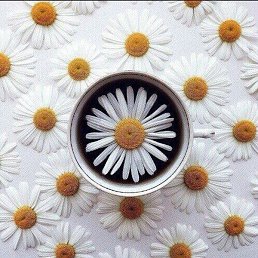 ������***, ������