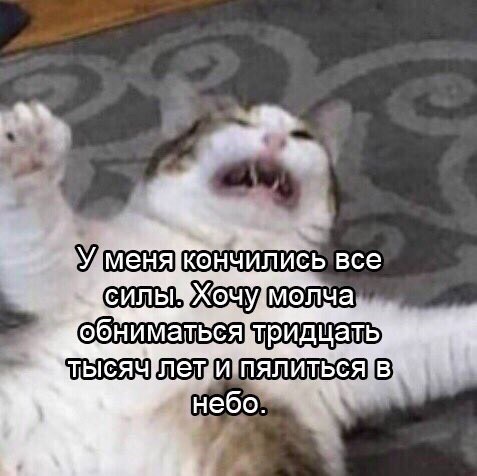    - 27  2024  13:19