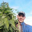 ���� ����, ����, 31 ��� - ��������� 17 ������� 2025 � ������ ���� ����������