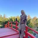 ���� �����, ���������, 41 ��� - ��������� 3 ������� 2025 � ������ ���� ����������