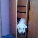  Louda05, , 27  -  9  2025    