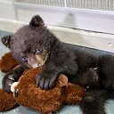 ���� ������, �����-��������� - ��������� 4 ������ 2025 � ������ ���� ����������