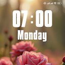���� ������, ���� - ��������� 11 ������ 2026 � ������ ���� ����������