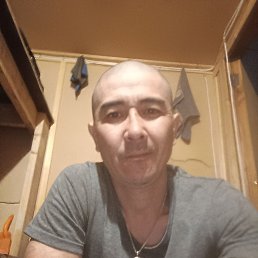 ������, 39 ���, ������