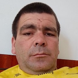 ����, �����������, 36 ���