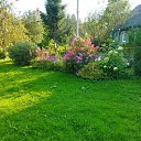 ���� �������, �����-���������, 71 ��� - ��������� 6 �������� 2025