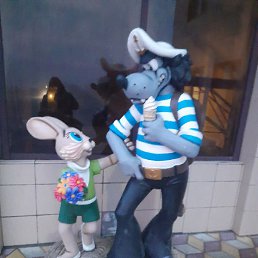 �����, ���������, 43 ����