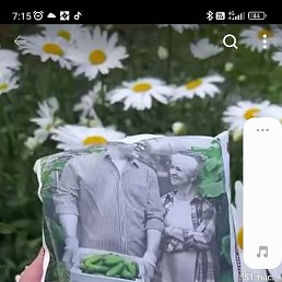 ����, ������, 46 ���