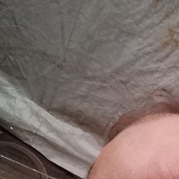 ������, ������, 46 ���