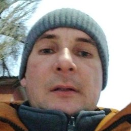 ������, ������� ���, 40 ���