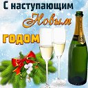 ���� ���������, ������ - ��������� 30 ������� 2023 � ������ ������ ��������